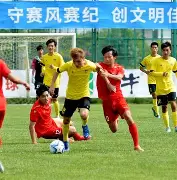 体操半决赛，河套闪电队与江南玄武队绝杀，VAR改判成焦点！防线高度稳定